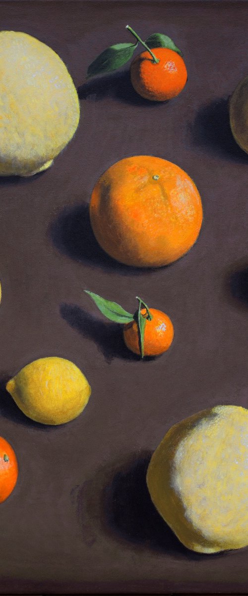 Citrus Fruits by Andrea Vandoni