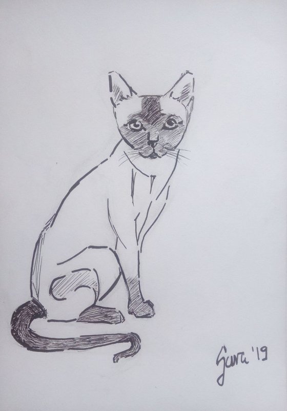 Siamese cat