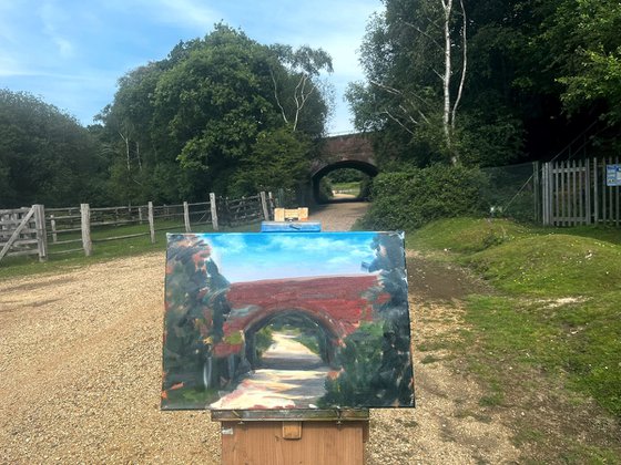 Walk From Blackhamsley Hill