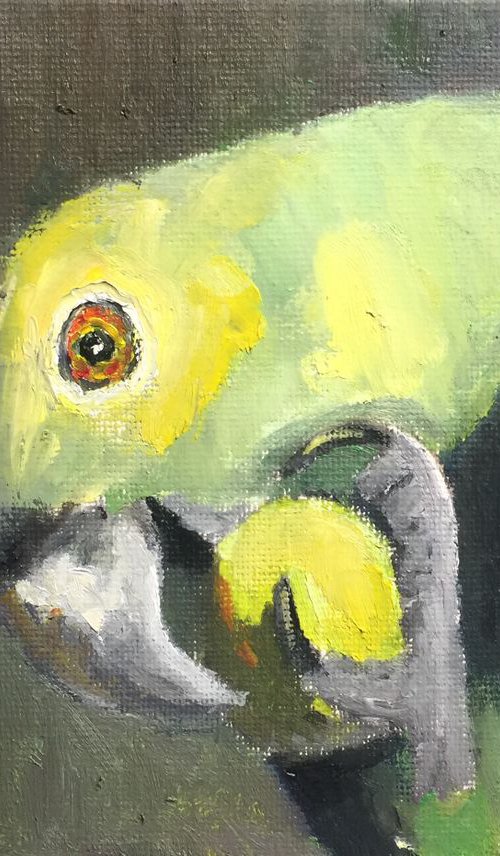 Bird by Ryan  Louder