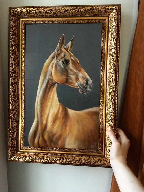 Golden Horse Akhal Teke original drawing