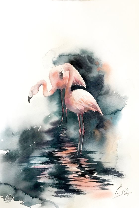 Flamingos