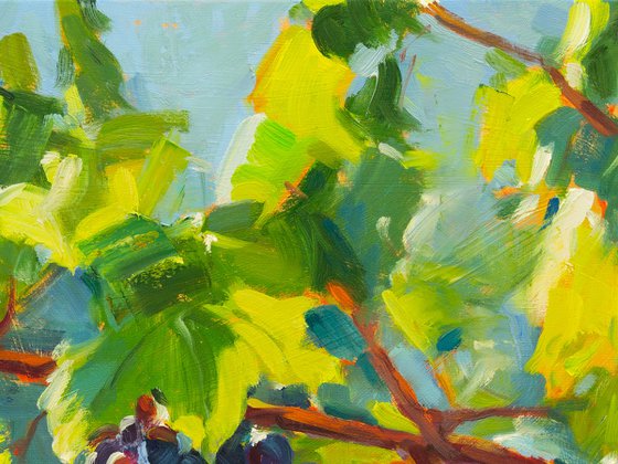 Sun-Kissed Grapes