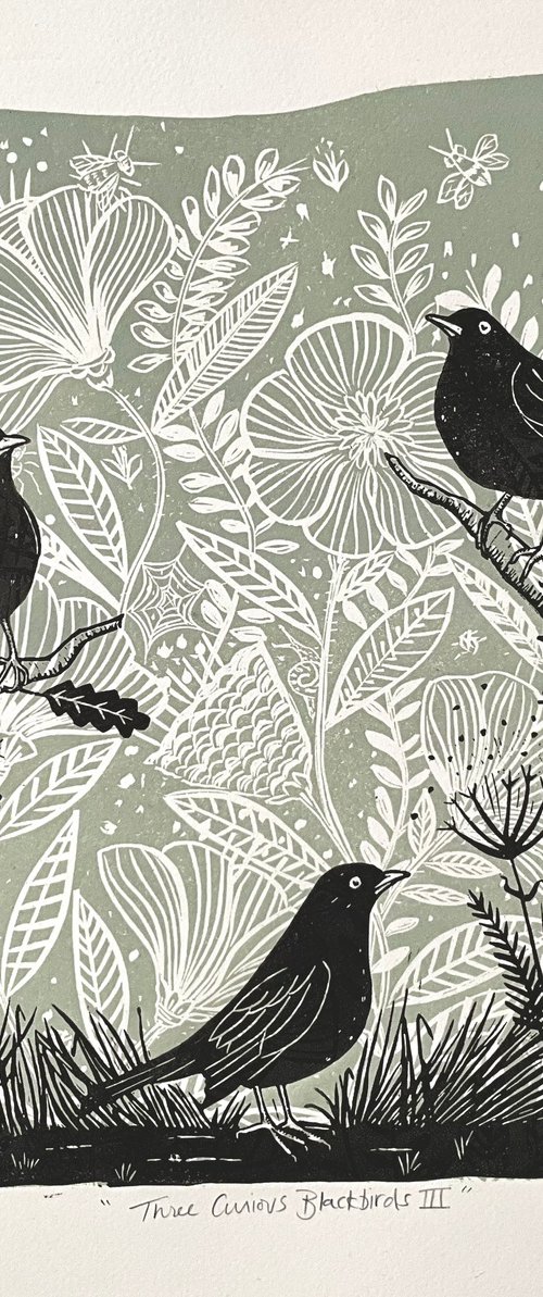 Three Curious Blackbirds III by Alison  Headley
