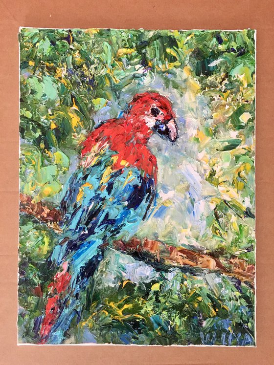 Parrot Ara
