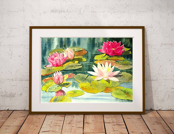 Water lilies