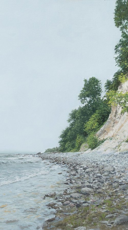 Misty Cliffs by Marius Roos