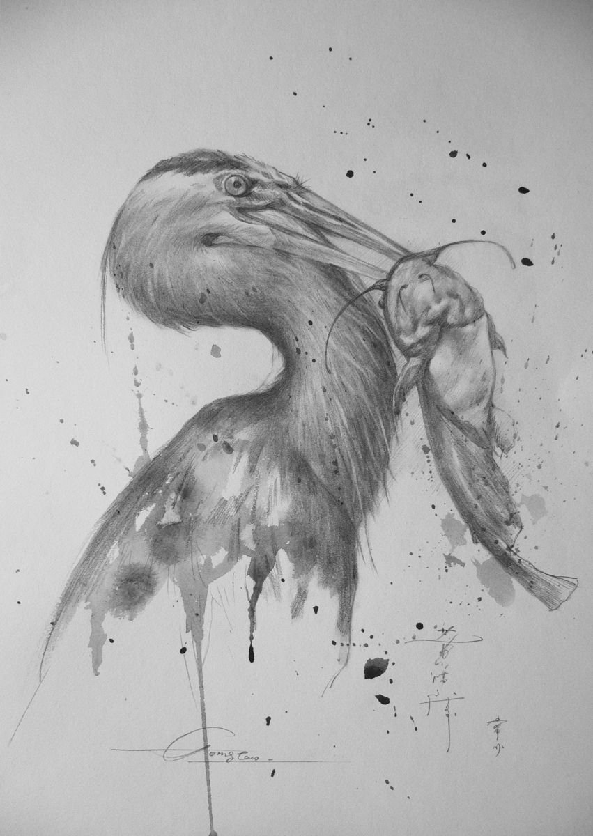Animal drawing pencil Grey Heron #17331 by Hongtao Huang
