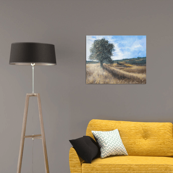 Meadow In Late Summer