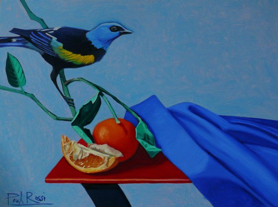 Still-Life With Tanager