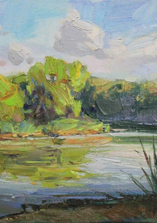 Summer on the river by Alisa Onipchenko-Cherniakovska