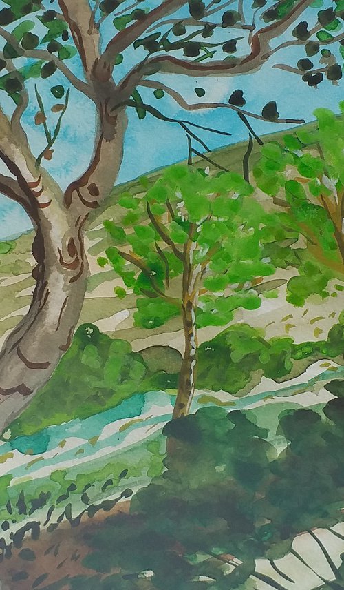 Pine trees on the Serra Gelada by Kirsty Wain