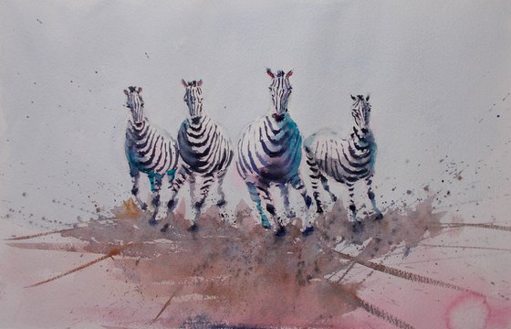 zebras