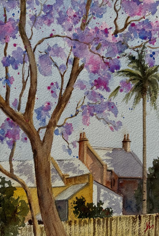 Jacaranda and yellow houses