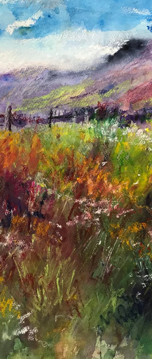 Mountain Reds by Andrew Moodie