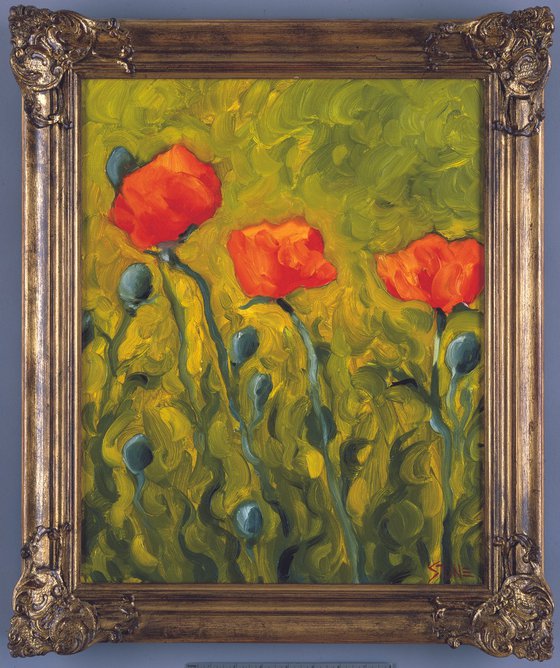 Three Poppies