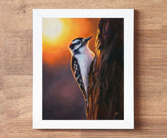 Downy woodpecker bird on a trunk