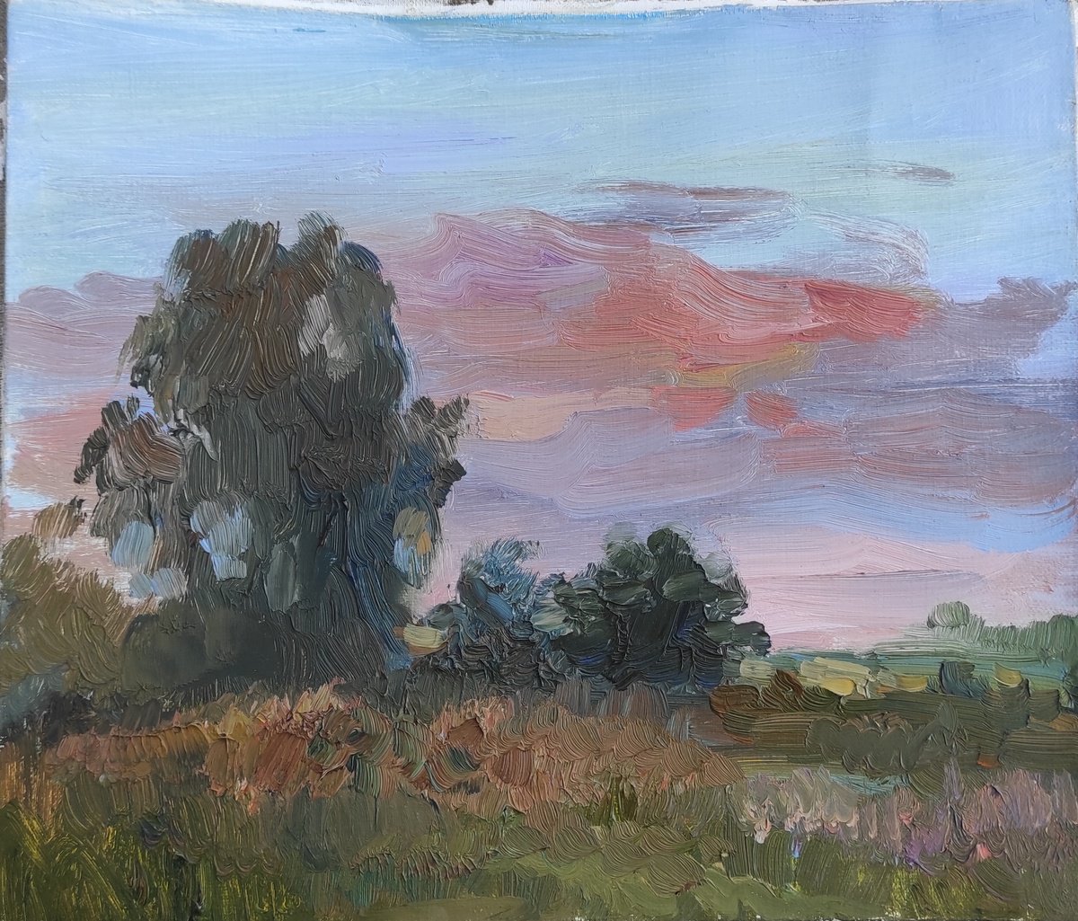 Landscape with sunset by Natasha Voronchikhina