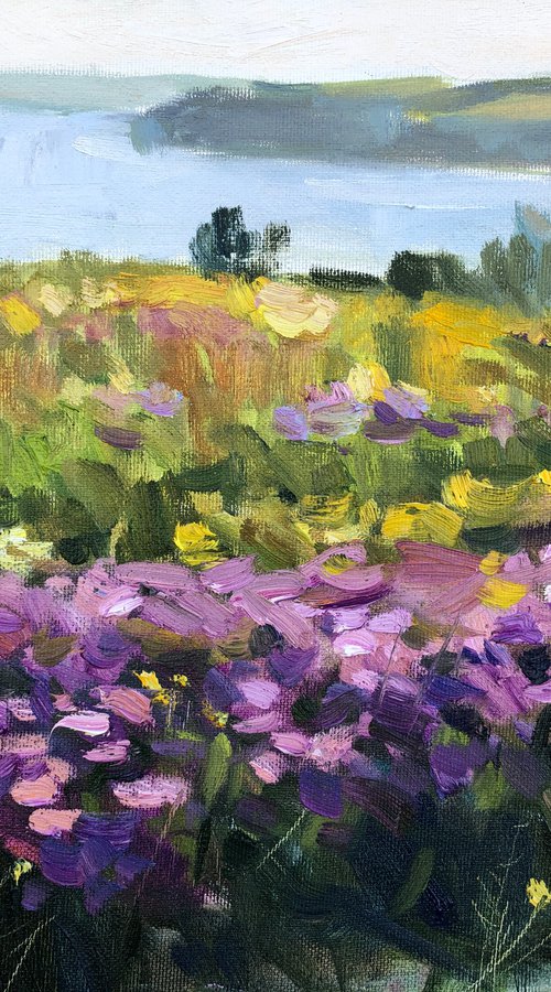 Flower field by Nataliia Nosyk
