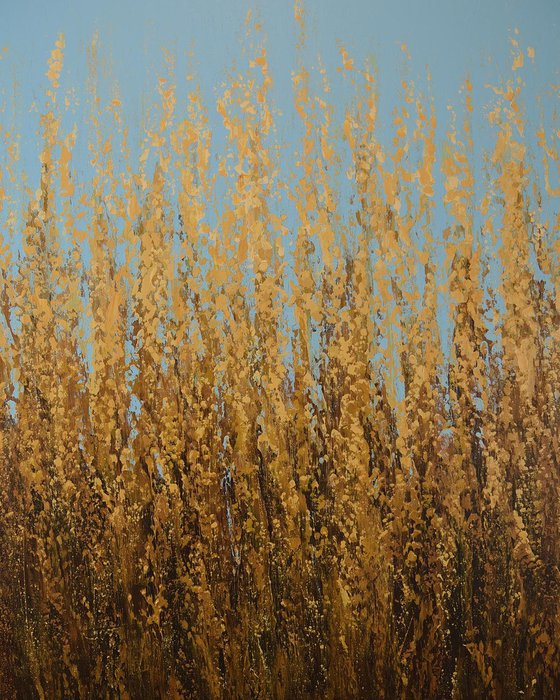 Summer Wheat