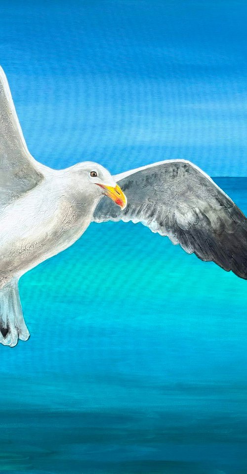 "Seagull" by OXYPOINT