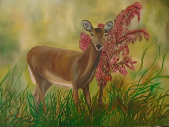 Deer of Spring