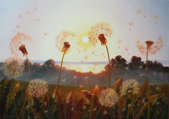 Sunset and Dandelions