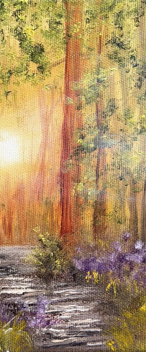 Spring forest by Tanja Frost