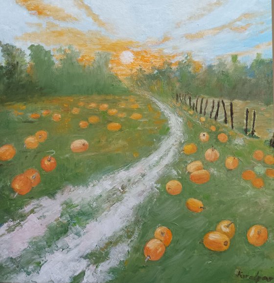 Path through the pumpkin field