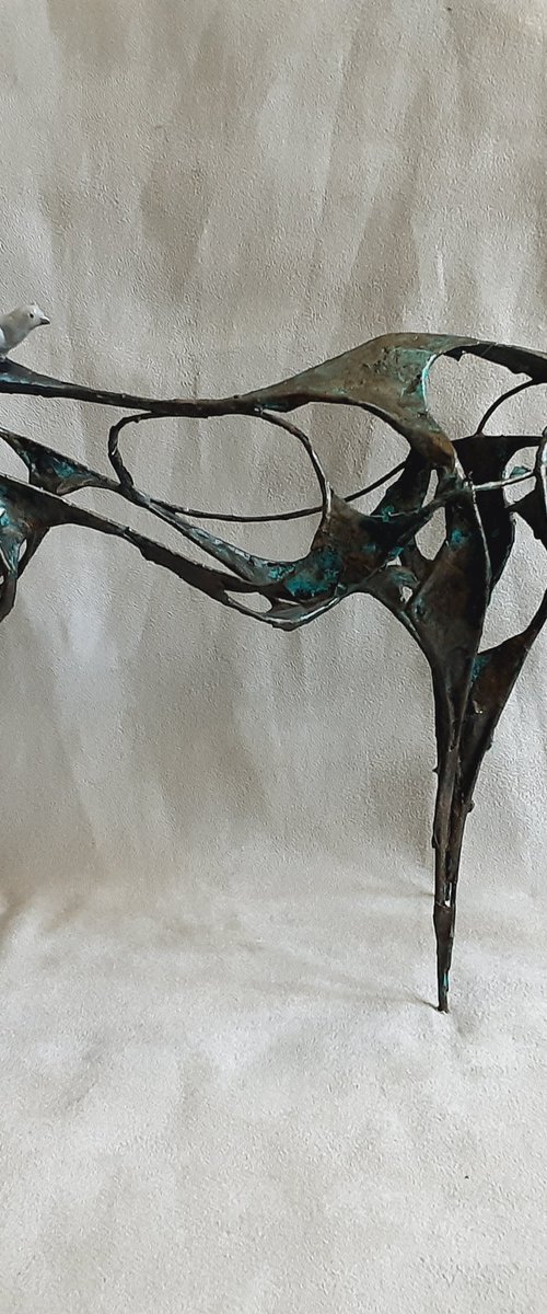 Horse and the Dove by Linda Hoyle