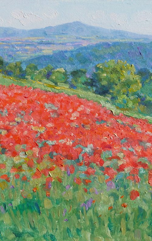 Field of poppies in Tuscany by Claudio Ciardi
