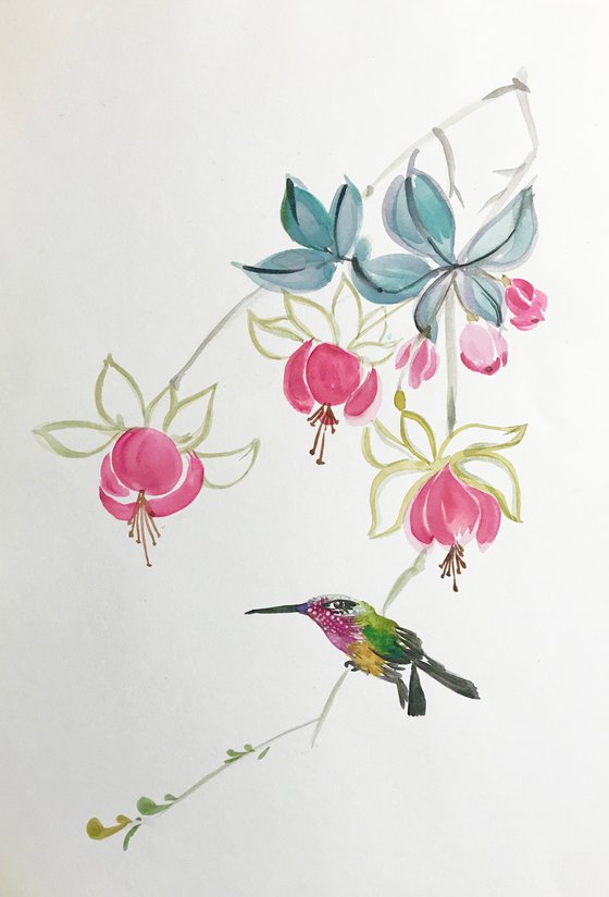 Fuchsia & Colibri