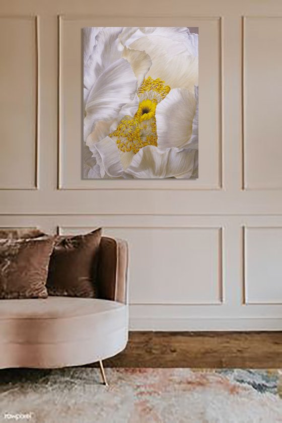 Peony, Soul of a Flower