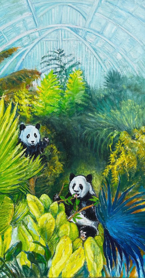 Pandas at Kew Gardens by Patricia Clements