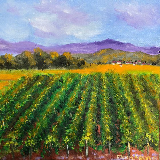 Napa Valley vineyards