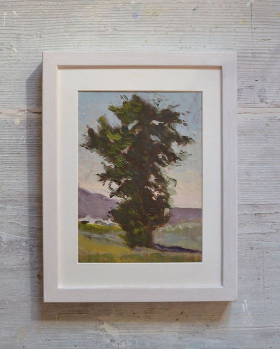 Big Umbrian Oak Tree n.2 Italian Plein Air Oil Painting