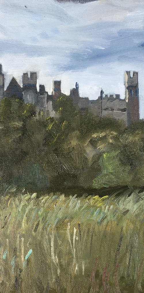 Arundel Castle, painting by Julian Lovegrove Art