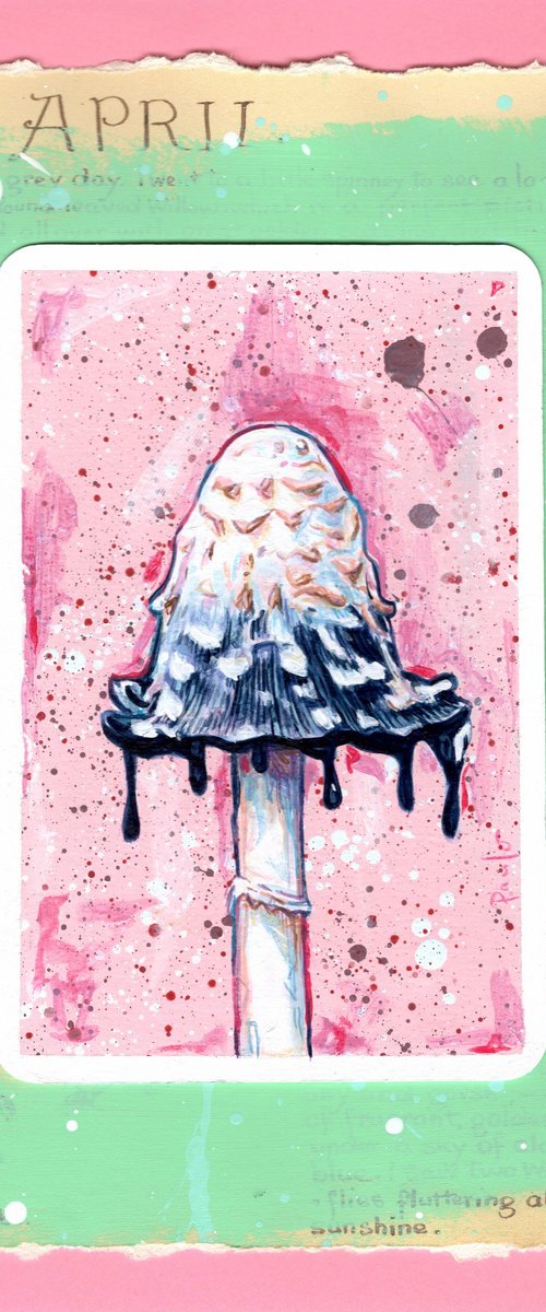 Shaggy ink cap mushroom by Paul Ward