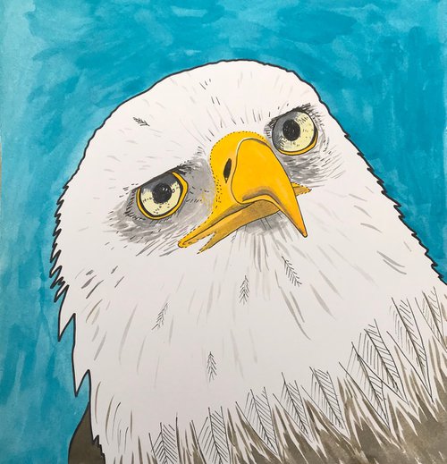 Eagle by Kitty  Cooper