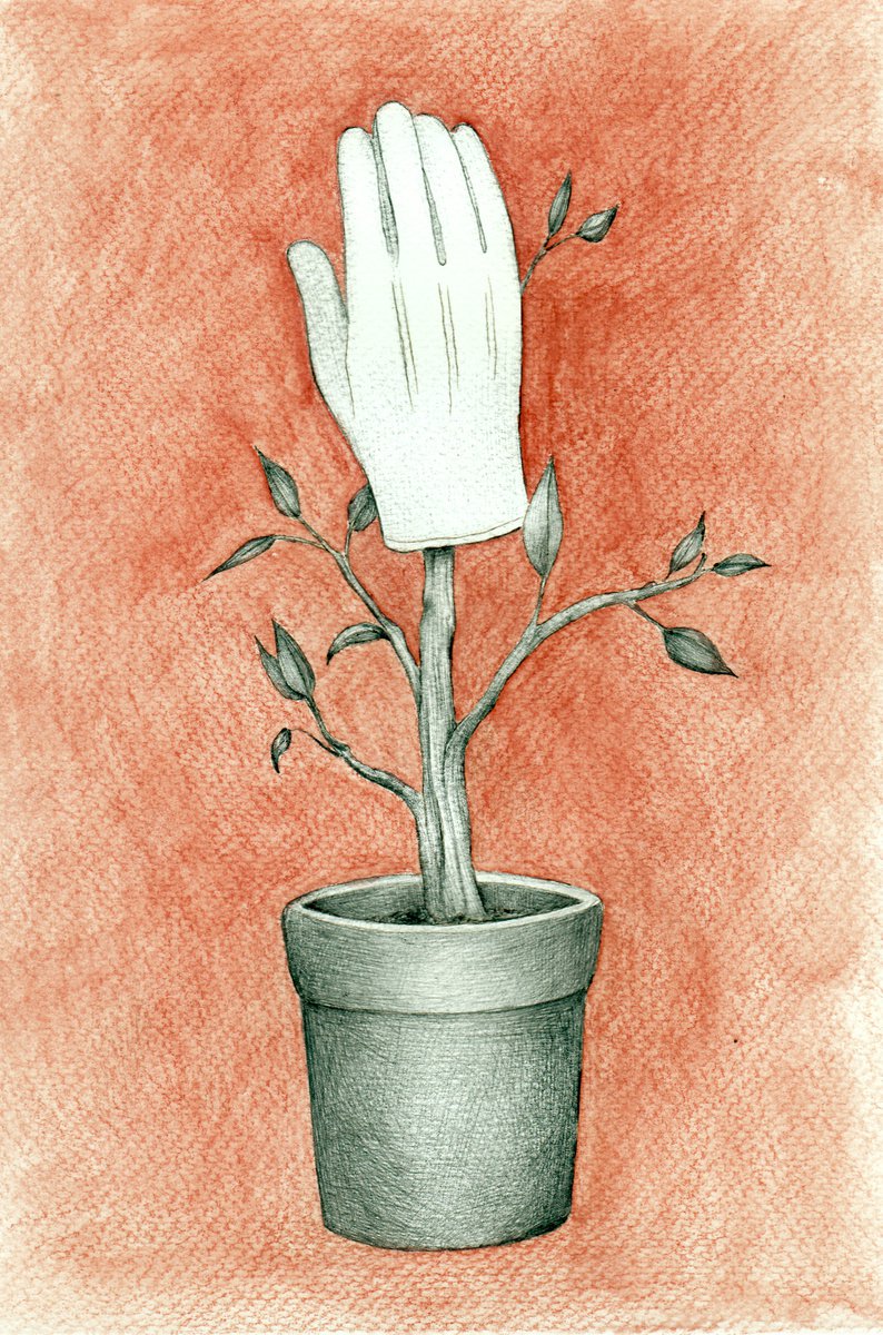 Surrealistic Still Life Ink Drawing By Andromachi Giannopoulou, 7 X 10, White Glove, Original Artwork