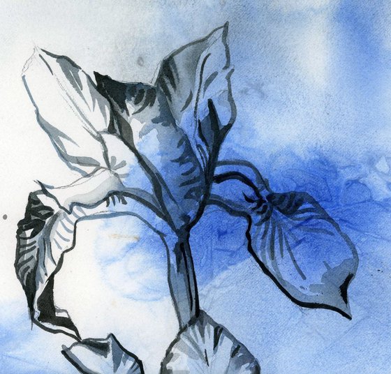 iris in blues watercolor floral