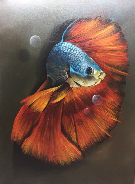 goldfish. Eka Peradze Art