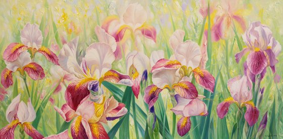 Irises 100 x50 cm