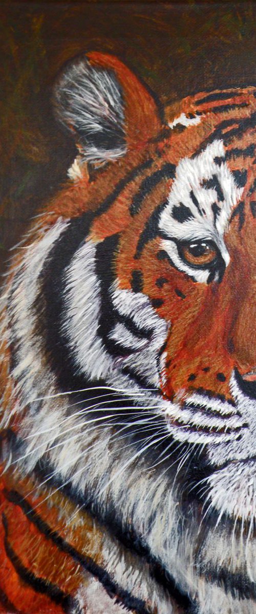 TIGER by ELAINE ASKEW