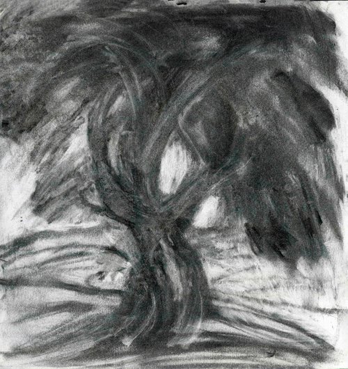 Tree Trunks 3 by Elizabeth Anne Fox