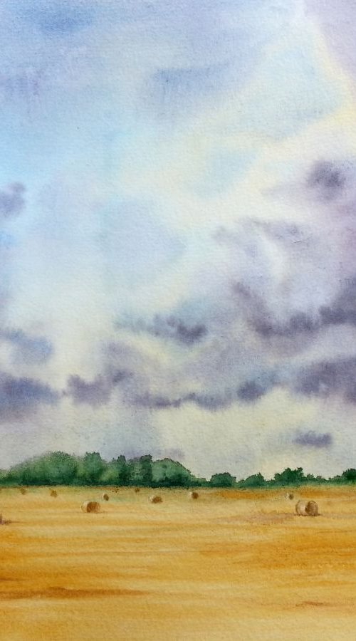 Rural Scenery - hay rolls - Ha by Olga Beliaeva Watercolour
