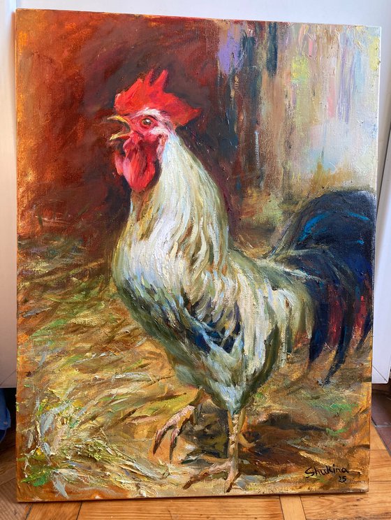 Rooster. Guard of the yard