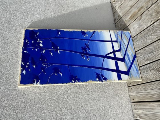 Cap Coz ultramarine 100x50
