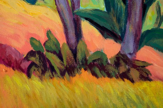 Color Fields of Topanga State Park