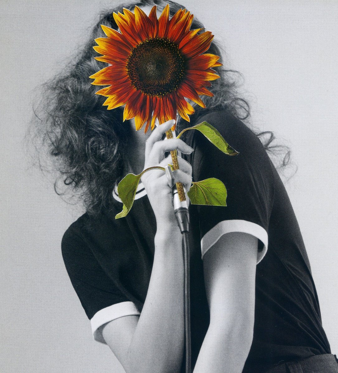 The Singing Sunflower by Linda Simon